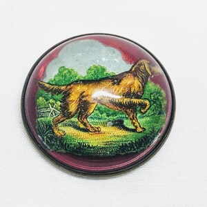 VTG Art Deco Reverse Painted Retriever Jagdhund Zaumzeug Rosette Pinback Concho Bubble Dome