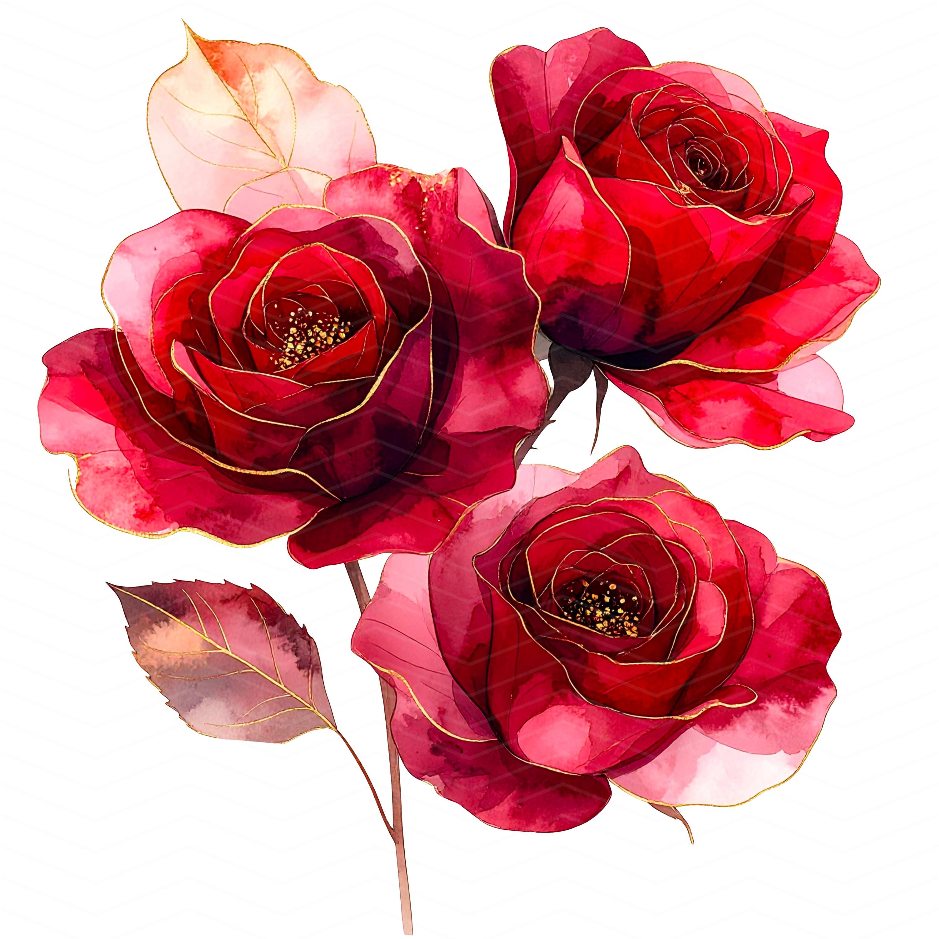 Abstract Red & Gold Rose Clipart Set, Luxury Floral PNG JPG, Watercolor ...