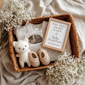 May include: A woven basket holds a baby announcement. Inside are a cream-colored sweater, a photo of a sleeping cat, a crocheted bear, and two pairs of crocheted baby shoes. A framed sign reads "PLOT TWIST ITS NOT A CAT! baby Anderson OCTOBER 202X."