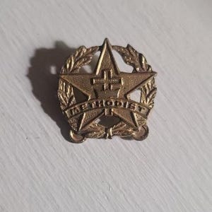 May include: A gold-colored pin in the shape of a star, encircled by a laurel wreath. The word "METHODIST" is inscribed around the star's perimeter. A cross is visible at the center of the star.