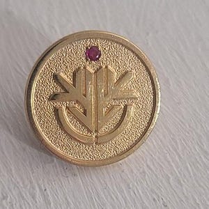 May include: A gold-colored round pin with a textured surface and a central design. The pin features a small, round, red gemstone at the top. The design is a stylized emblem.