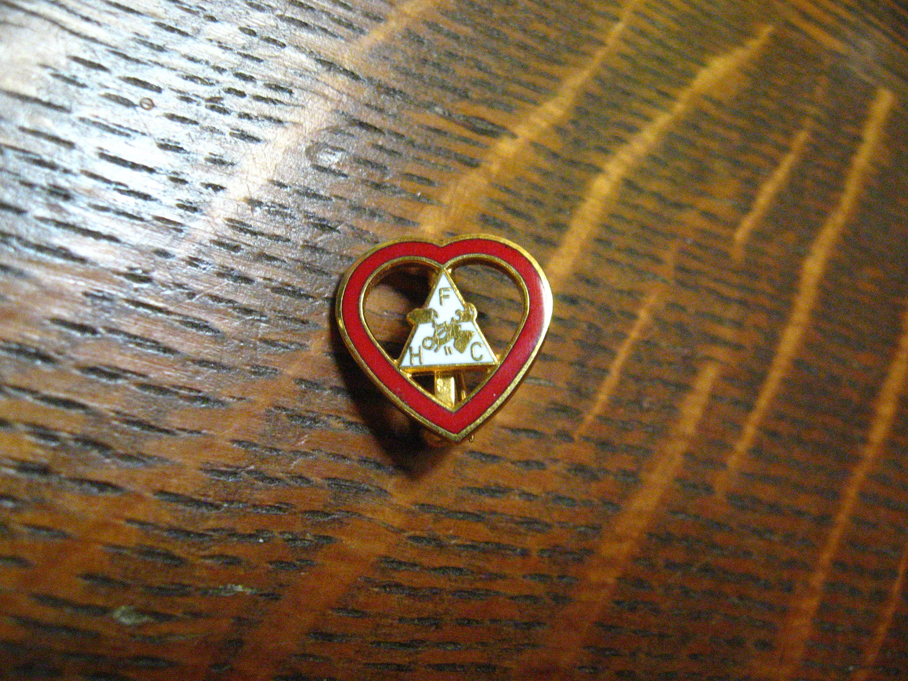 Vintage Ladies Moose Lodge Hat And Heart  Pin Vintage HFC Loyal Order of Moose Head Heart Elks Lodge Gold  main image 2