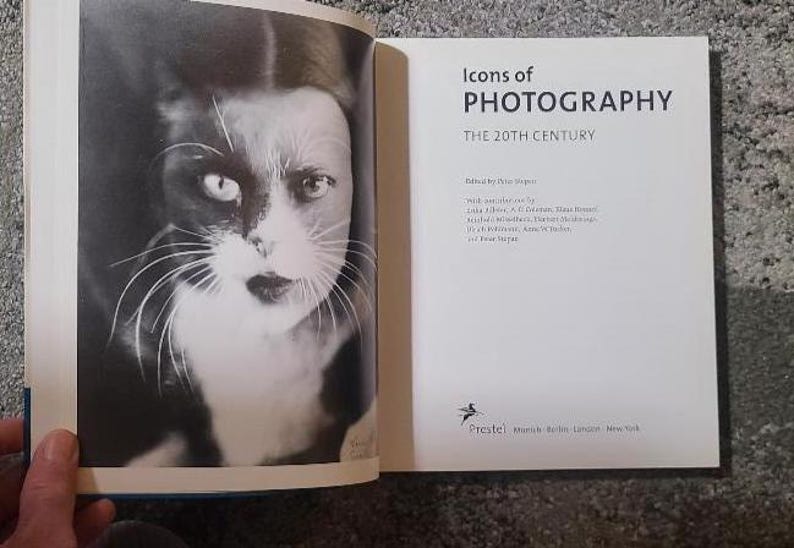 May include: A black and white photograph of a cat's face on the left page of a book. The right page displays the title "Icons of Photography: The 20th Century". The book is open, revealing the pages.