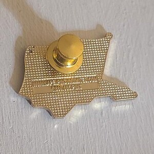 May include: A gold-colored pin in the shape of a state, with a gold pin back. The back of the pin has a textured surface and text that is difficult to read. The pin is on a light-colored surface.