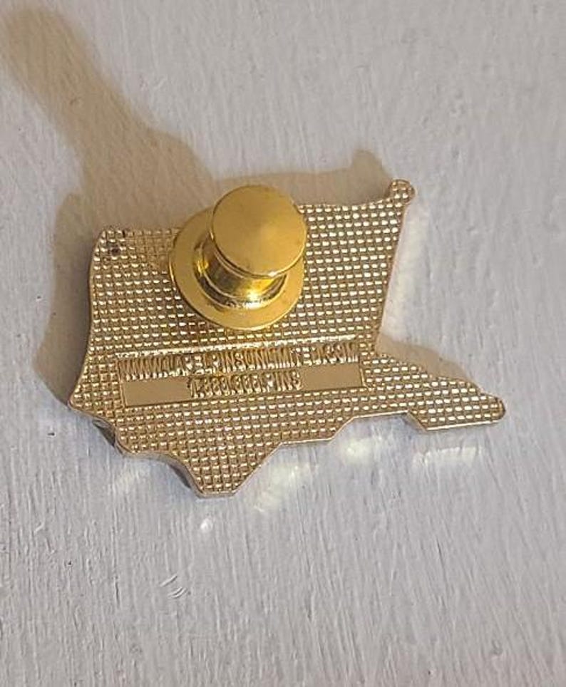May include: A gold-colored pin in the shape of a state, with a gold pin back. The back of the pin has a textured surface and text that is difficult to read. The pin is on a light-colored surface.