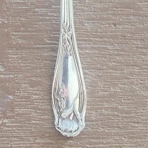 May include: A silver-colored metal spoon handle featuring an embossed floral motif with elongated stems and leaves. The handle has a smooth, polished finish with vertical lines and a rounded end, showcasing intricate metalwork details.