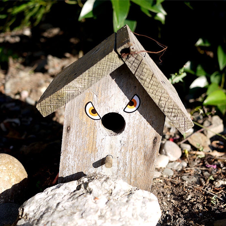 Monster & Robot Eyes Sticker Set of 3 : Cupcake Toppers Party image 4