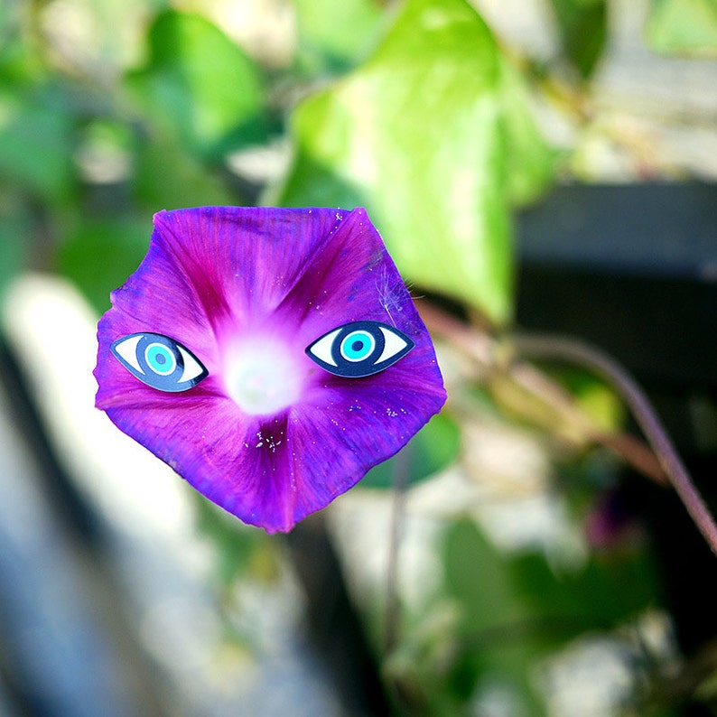 Monster & Robot Eyes Sticker Set of 3 : Cupcake Toppers Party image 1