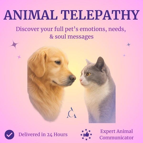 Animal Communication Reading – Pet Psychic Session – Emotions, Needs & Soul Messages