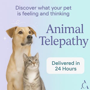 May include: A light brown dog and a gray tabby cat are featured in a promotional image. The words "Animal Telepathy" are displayed in large, dark blue text. The image also includes the text "Discover what your pet is feeling and thinking" and "Delivered in 24 Hours."