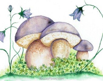 Boletes and blue bells, Greeting Card or Photographic art print
