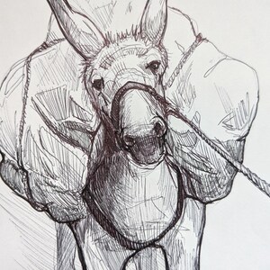 May include: Pen and ink drawing of a donkey carrying a large load on its back. The donkey is facing forward, with detailed linework defining its features, including its ears, muzzle, and harness. A rope extends from the harness.