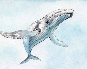 May include: Watercolor illustration of a humpback whale in shades of gray and blue. The whale is depicted mid-leap, with its body arched and fins extended against a light blue background. The artwork has a delicate, artistic style.