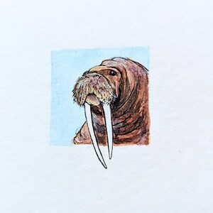 絵画 ウォーラス「アルベリ グアルダノ（Mサイズ）」 Walrus Drawing Art - Etsy