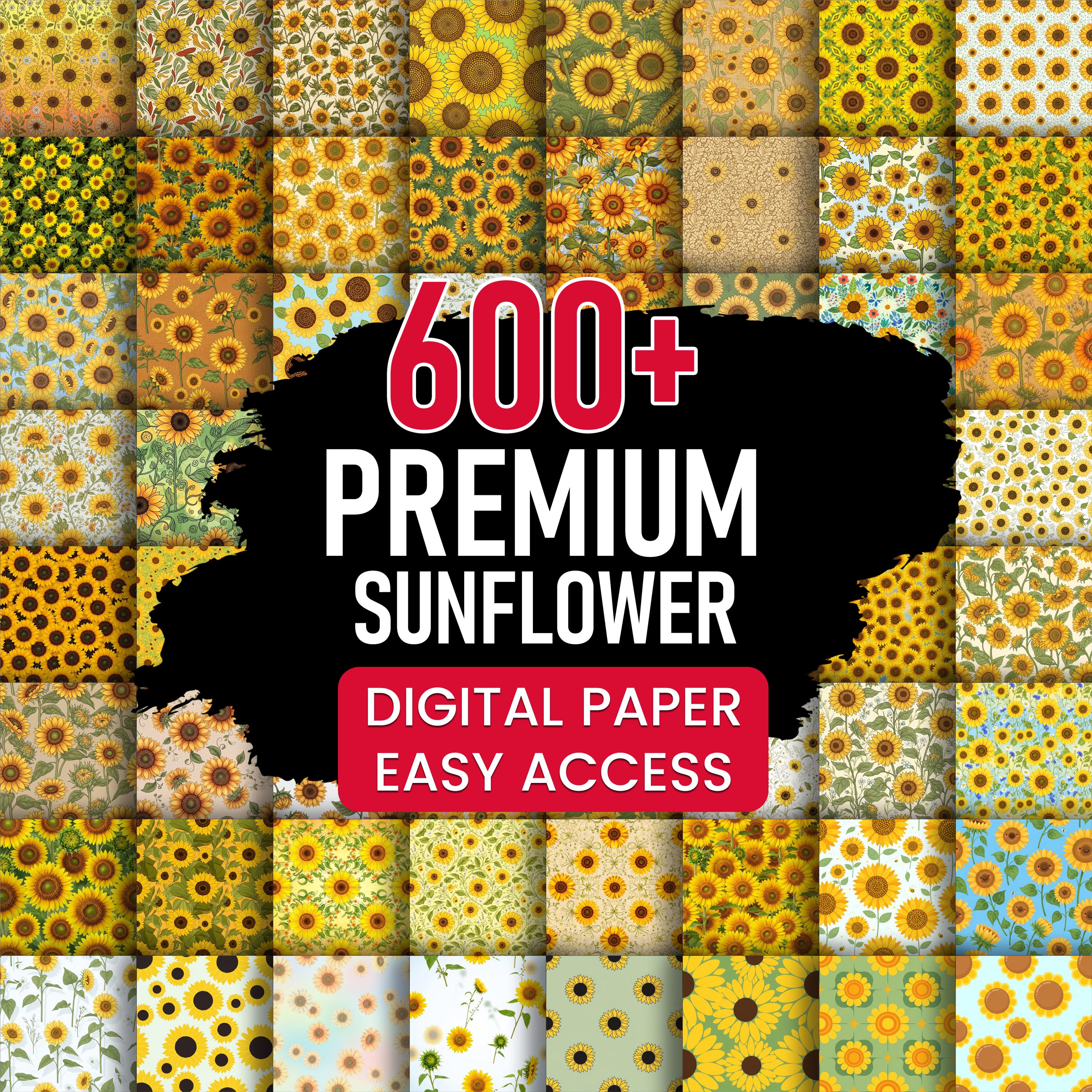 640 Sunflower Digital Paper Pack, Floral Seamless Background Bundle ...