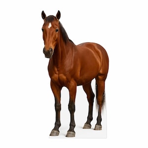 May include: A full-body image of a brown horse with a white marking on its forehead. The horse has a black mane and tail, and its legs are black from the knees down. The horse is standing on a white surface.