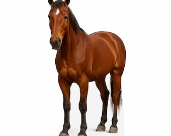 Life Size Horse Cardboard Cutout, Western Party Decor, Cowboy Birthday Prop, Farm Animal Standee, Photo Booth Prop, Coroplast Plastic, 1pc