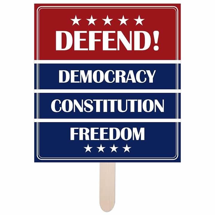 Protest Sign Sticks Protest Sign on a Stick, No Kings in America Rally Fan, Save Democracy ...