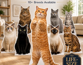 Realistic Cat Cardboard Cutout, Life Size Ragdoll Siamese Standee, Pick Your Breed Pet Decor, Funny Standing Orange Cat, Pet Birthday Prop