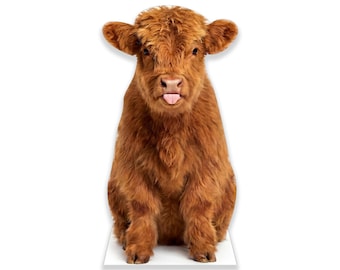 Highland Cow Cardboard Cutout, Baby Shower Decor, Life Size Sitting Standing Heifer, Farmhouse Nursery Standee, Western Ranch Photo Prop