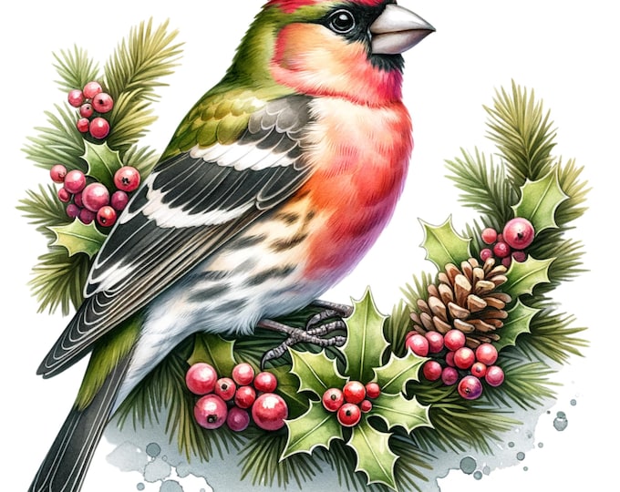 Christmas Clipart Set: Watercolor Holly, Birds, Wreath (JPG Digital Download