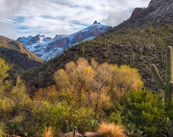 Fall Colors in Sabino Canyon Tucson Arizona Multiple sizes- Fine Art Photograph