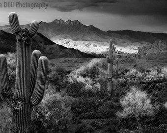 Photograph Four Peaks Az Black and White  Saguaro Cactus Sunset Fine Art  multiple sizesMultiple sizes- Fine Art Photograph