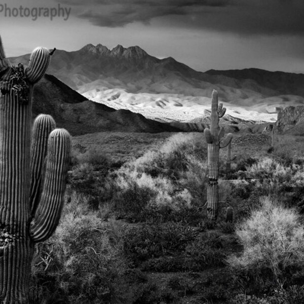 Photograph Four Peaks Az Black and White  Saguaro Cactus Sunset Fine Art  multiple sizesMultiple sizes- Fine Art Photograph