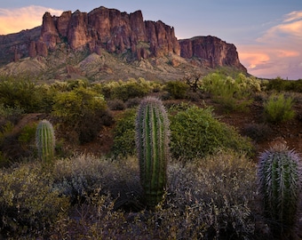 Superstition Mountains and Cactus at Sunset, Fine Art Photograph Multiple sizes