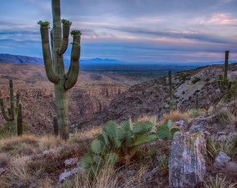 Catalina Mountains Tucson Arizona sunset fine art photograph Multiple sizes- Fine Art Photograph