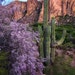 see more listings in the Desert Landscapes section