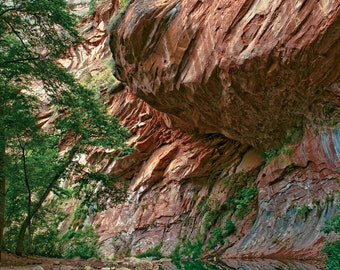 Oak Creek West Fork Overhang -  Fine Art Photo Multiple sizes