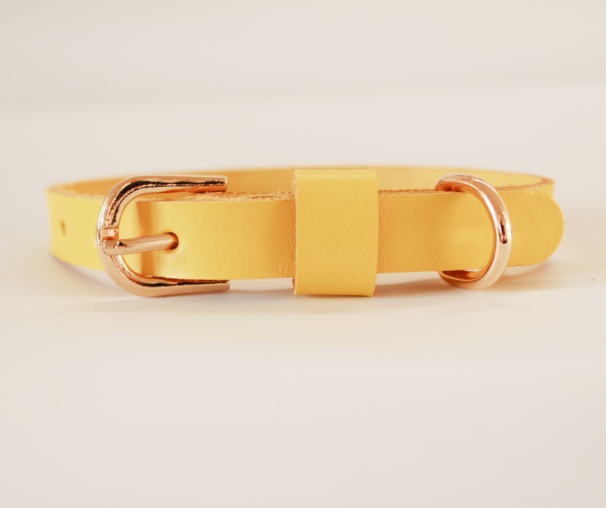 Collier Pour Chien Jaune, Collier Réglable en Or Personnalisé, Colliers Personnalisés Orange avec Ét