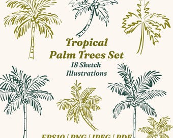 Hand Drawn Palm Trees Clipart Set, Whimsical Tropical Sketch Doodle (eps, png, jpeg, pdf)
