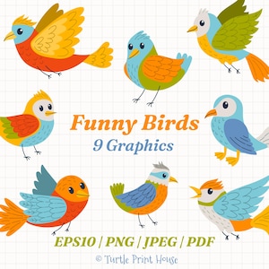 May include: Nine colorful cartoon bird graphics in various poses. The birds feature a variety of colors, including blue, orange, yellow, and green. Text reads "Funny Birds 9 Graphics" and "EPS10 / PNG / JPEG / PDF".