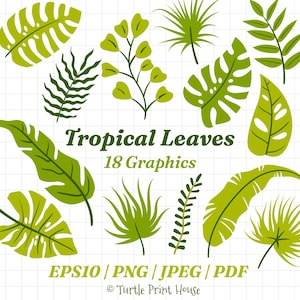 18 Tropical Leaves Clipart Bundle, Jungle Graphics, Monstera Palm Leaf ( eps10, png, jpeg, pdf )