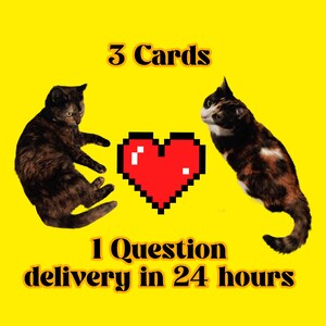 Lecture du tarot du chat - Une question, 3 cartes