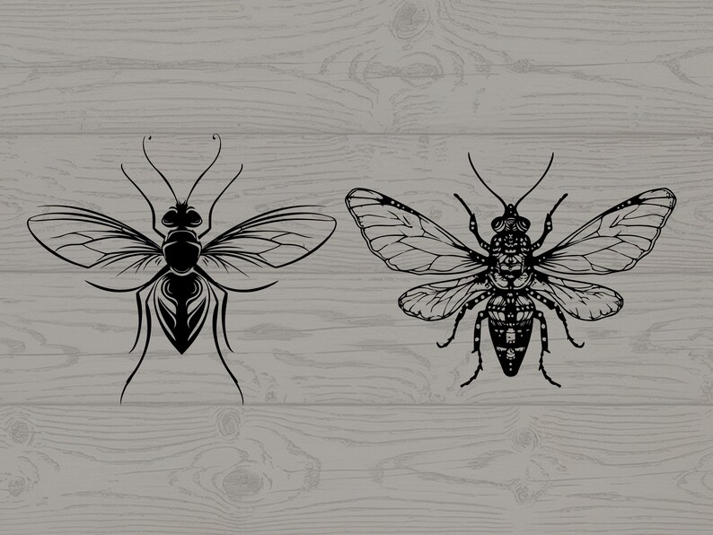 Fly Insect Svg Insect Silhouette SVG PNG Bundle, Bug Clipart Set, Nature Wildlife Cut ...