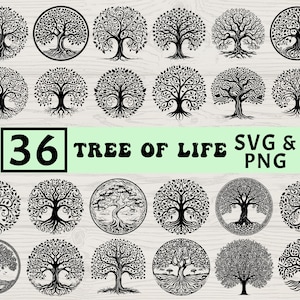Puede incluir: Colección de 36 diseños de Árbol de la Vida en blanco y negro, formatos SVG y PNG. Los diseños presentan ilustraciones detalladas de árboles, algunos dentro de marcos circulares, ideales para arte digital o manualidades.
