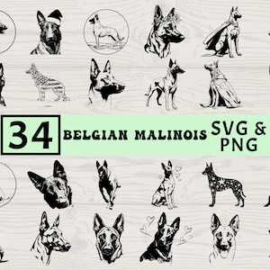 May include: A collection of 34 Belgian Malinois dog illustrations in SVG and PNG formats. The black and white drawings depict various poses and styles, including dogs wearing hats, sunglasses, and patriotic themes.