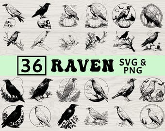 Paquete SVG PNG de silueta de cuervo, clipart de pájaro gótico, archivos de corte de cuervo, vector de fantasía oscura, calcomanías