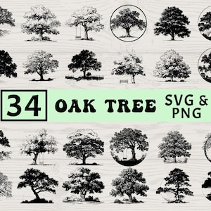 May include: A collection of 34 oak tree illustrations in SVG and PNG formats. The images showcase various styles, including trees with exposed roots, trees with swings, and trees within circular frames. The text "34 OAK TREE SVG & PNG" is displayed.