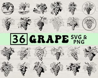 Grape Silhouette SVG PNG Bundle, Fruit Clipart, Vineyard Wine Cut Files, Kitchen Vector