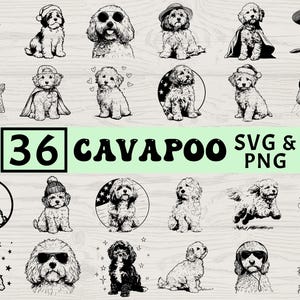 May include: A collection of 36 Cavapoo dog illustrations in SVG and PNG formats. The black and white drawings depict Cavapoos in various poses, wearing hats, sunglasses, and capes. The text "36 Cavapoo SVG & PNG" is displayed in the center.