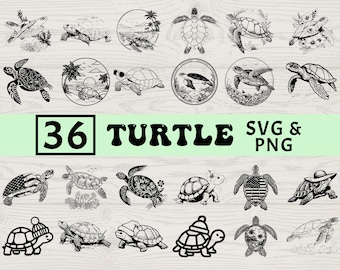 Sea Turtle SVG PNG Bundle: Silhouette Vector Cut Files