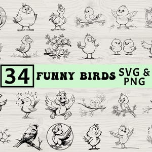 May include: A collection of 34 funny bird illustrations in black and white. The birds are depicted in various poses, some on branches, with text that reads "34 FUNNY BIRDS SVG & PNG". The images are suitable for digital art projects.