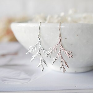 Silver Spruce Tree Leaf Branch Earrings, Fall Earrings, Winter Earrings, Fall Winter Jewelry, Coniferous Evergreen tree, Christmas Tree image 2