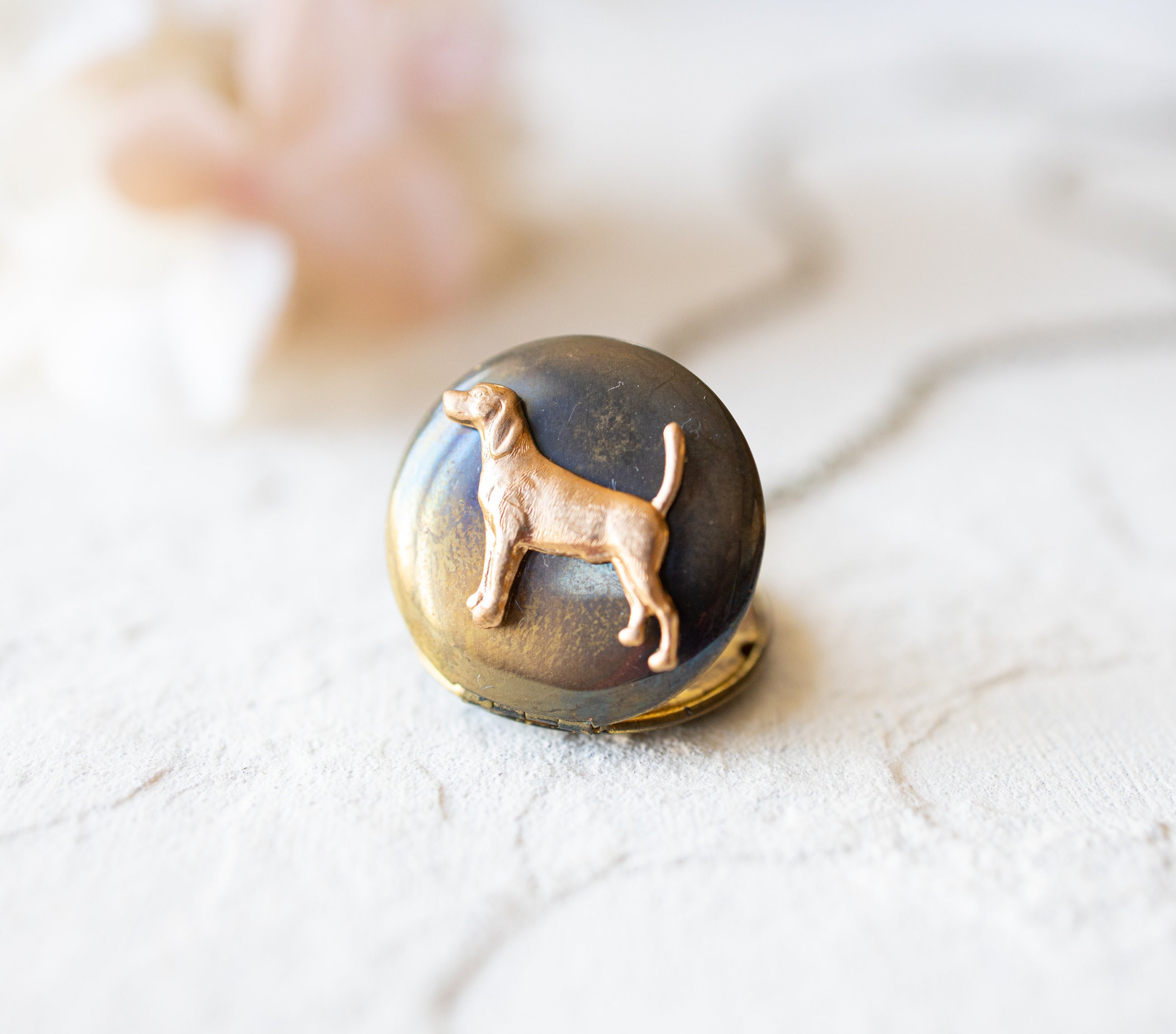 Dog Locket Dog Necklace Dog Pendant Persoanlized Locket Etsy