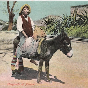Cargando el Pulque Mexican Postcard J.K. 62 Mexico Regist