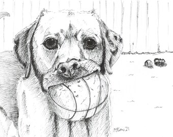 Labrador Retriever pen drawing blank greetings card 6x4ins